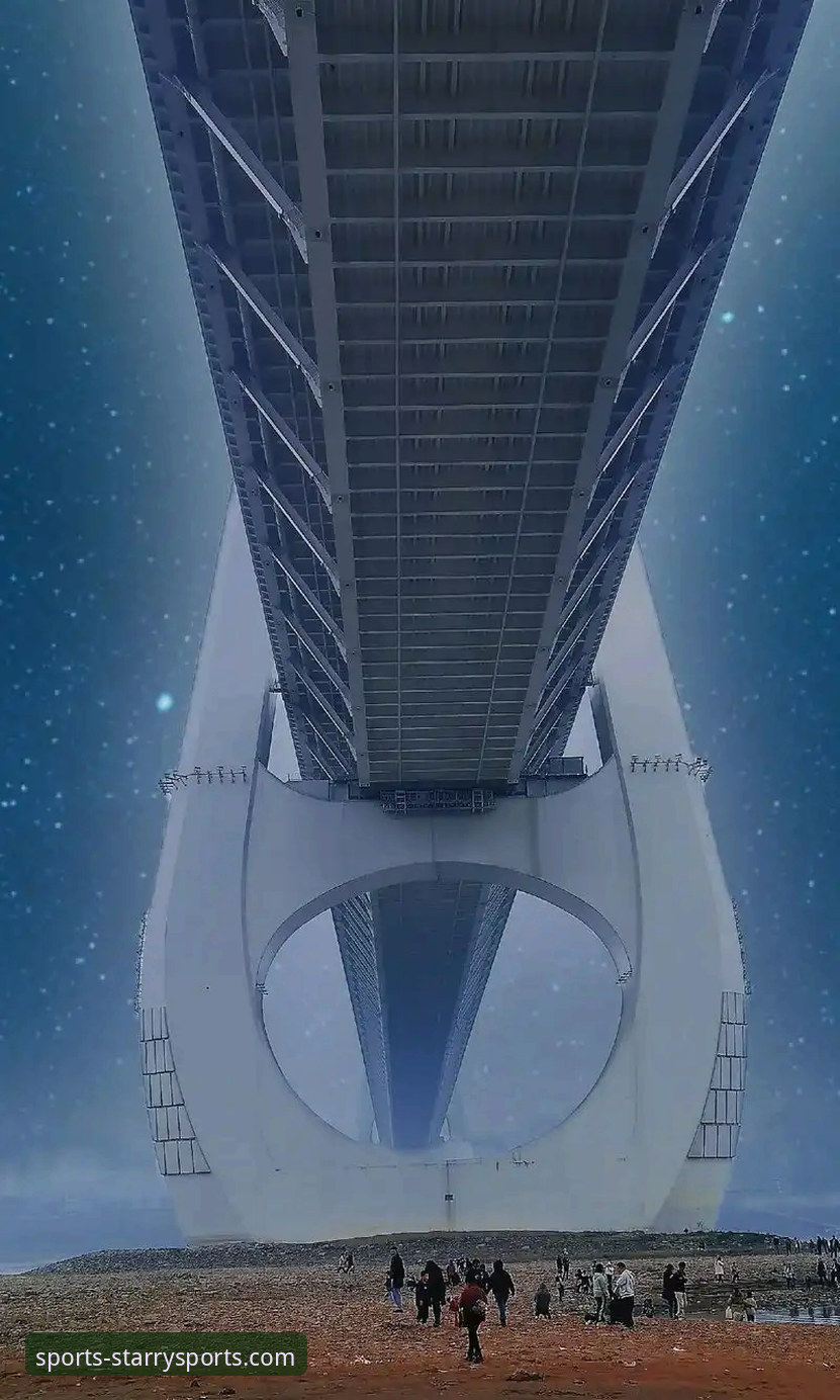 星空体育2024版下载不了怎么办 星空体育2024版下载难题全面解析:创新方案与前瞻性解决思路