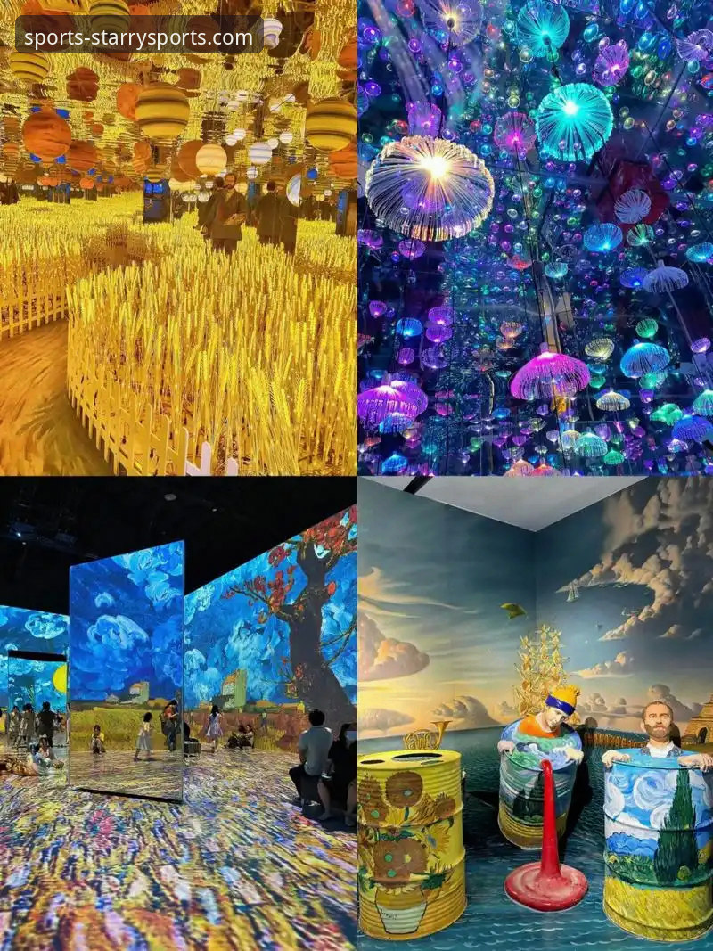 星空体育直播平台对比：不同版本功能与体验深度剖析