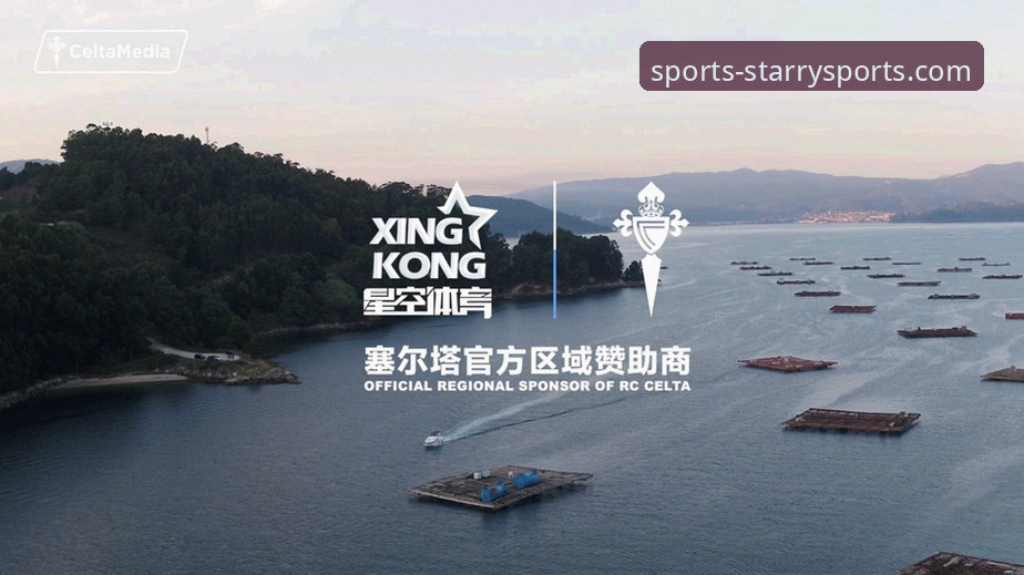 星空体育最新版下载安全吗 星空体育最新版下载安全吗?专业分析师带你全面评估